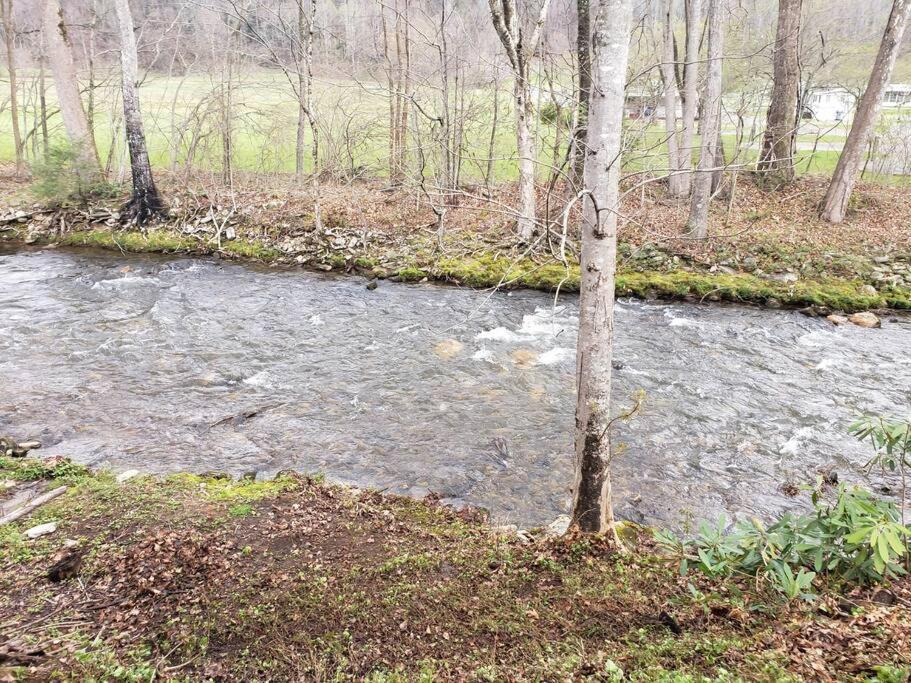 J.Creek Retreat, Creekside Townhouse +1 Car Garage Villa Maggie Valley Bagian luar foto