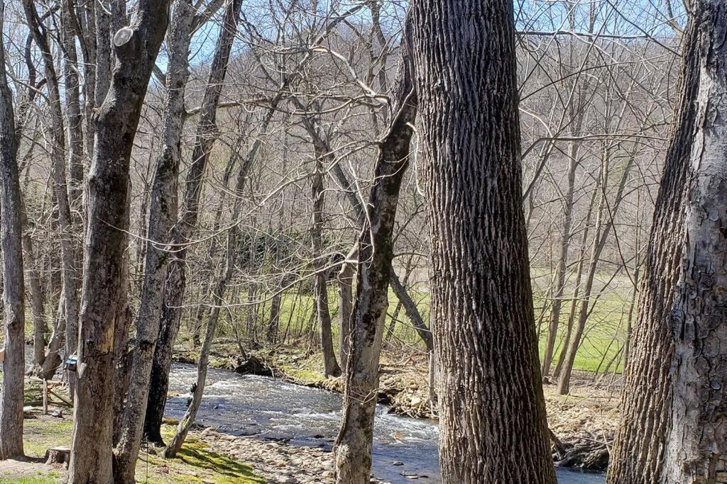 J.Creek Retreat, Creekside Townhouse +1 Car Garage Villa Maggie Valley Bagian luar foto