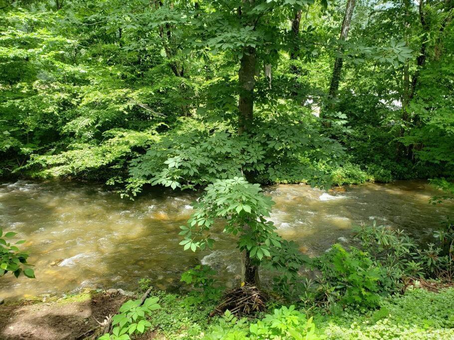 J.Creek Retreat, Creekside Townhouse +1 Car Garage Villa Maggie Valley Bagian luar foto