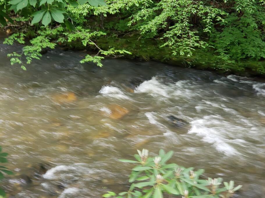 J.Creek Retreat, Creekside Townhouse +1 Car Garage Villa Maggie Valley Bagian luar foto